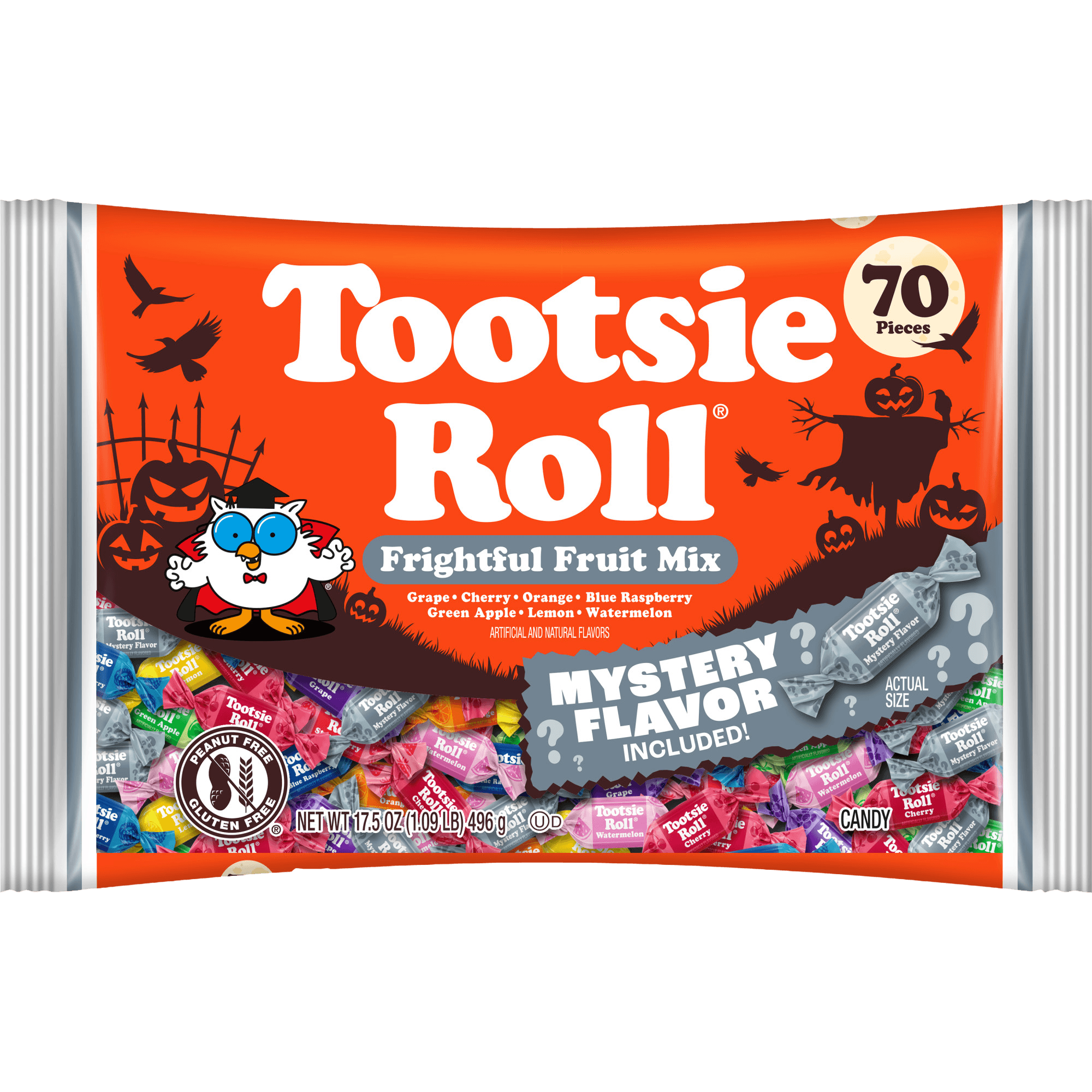 Fruit Chews Trick or Treat Mix Assorted Flavors (17.5 oz. Bag